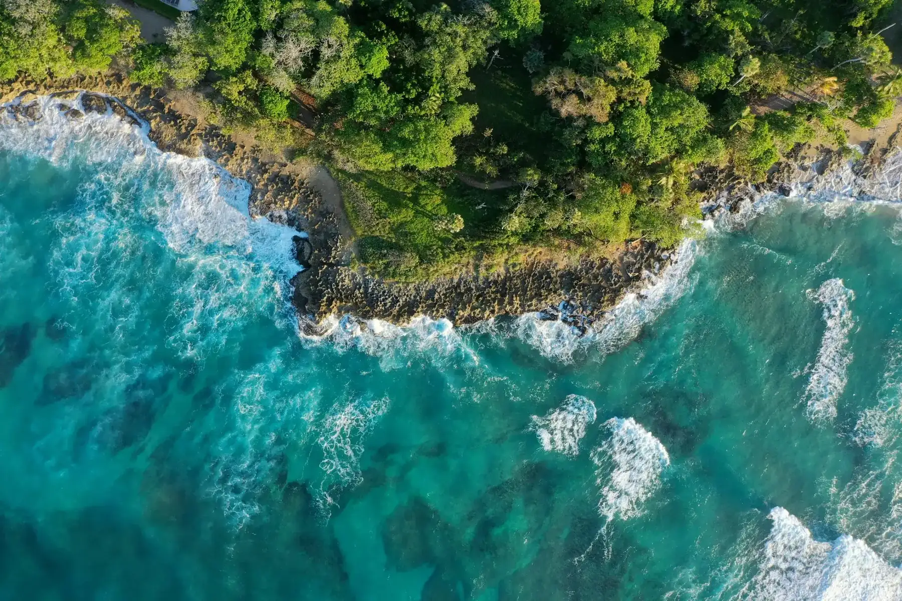 Aerial view of turquoise ocean waves crashing against a rocky, tree-lined coastline.